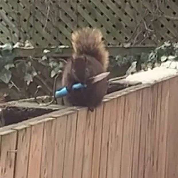 Klyker Picdump #1432 (52 photos)