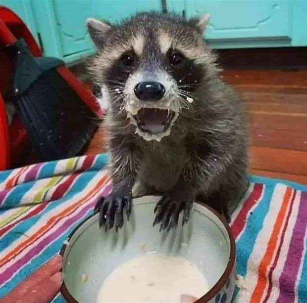 Klyker Picdump #1432 (52 photos)