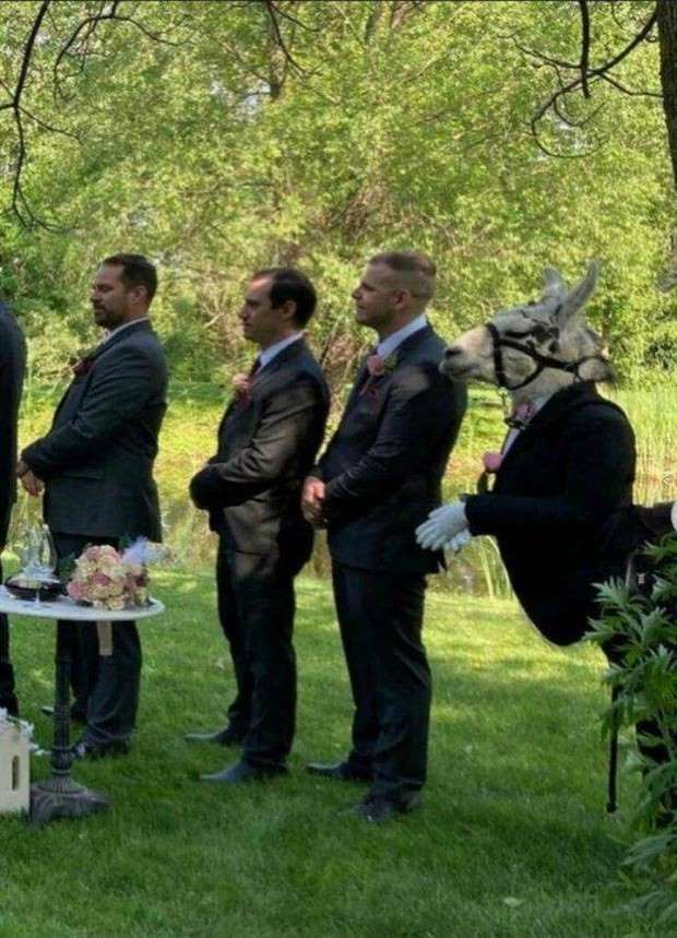 Klyker Picdump #1431 (51 photos)