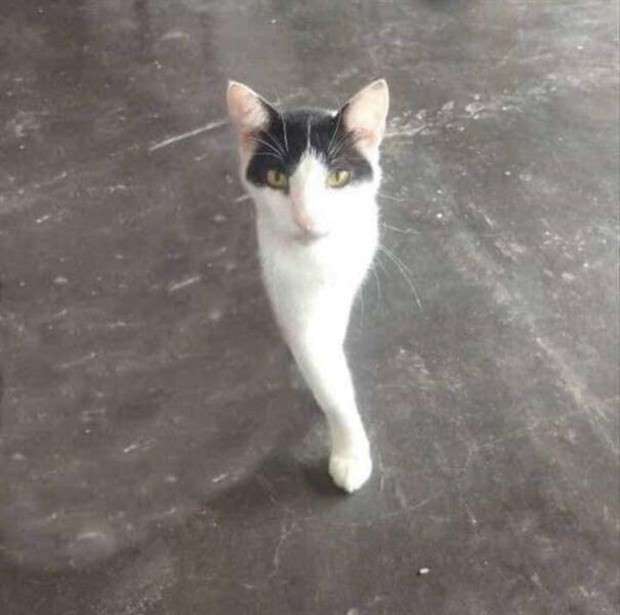 Klyker Picdump #1431 (51 photos)