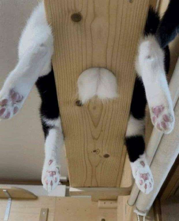 Klyker Picdump #1431 (51 photos)