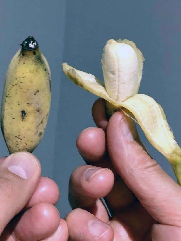 Klyker Picdump #1431 (51 photos)