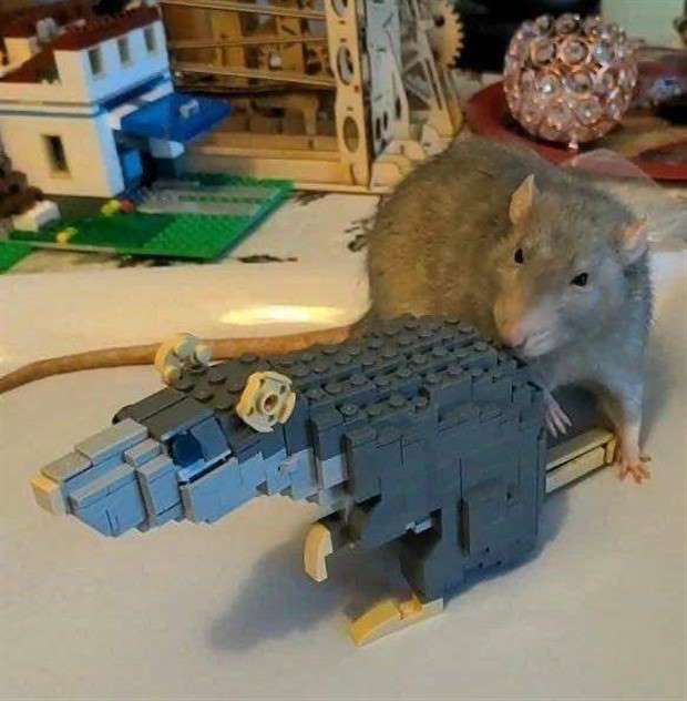 Klyker Picdump #1431 (51 photos)