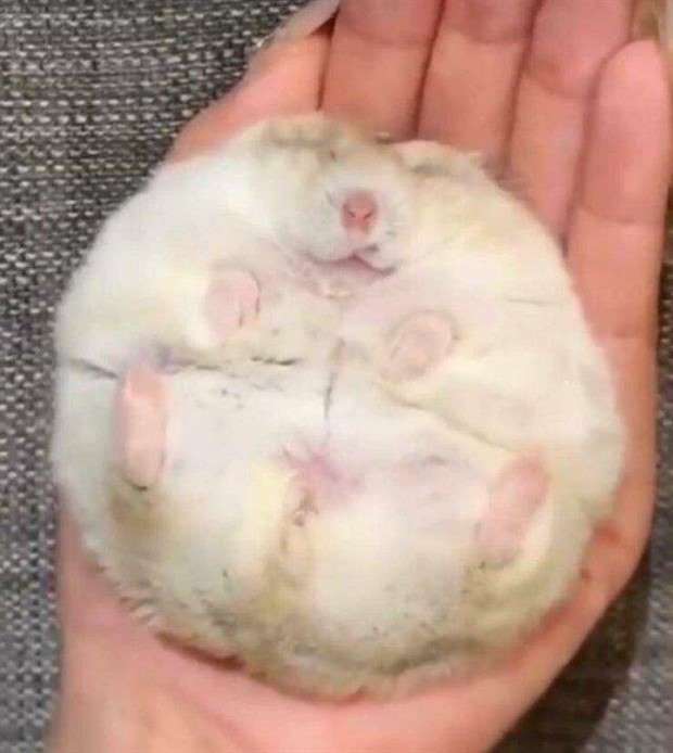 Klyker Picdump #1431 (51 photos)