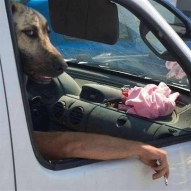 Klyker Picdump #1431 (51 photos)