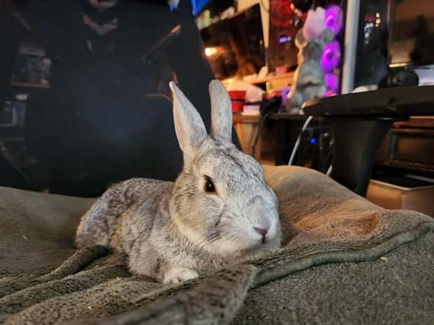 Klyker Picdump #1438 (53 photos)