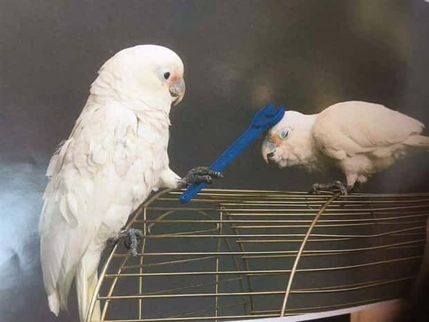 Klyker Picdump #1438 (53 photos)