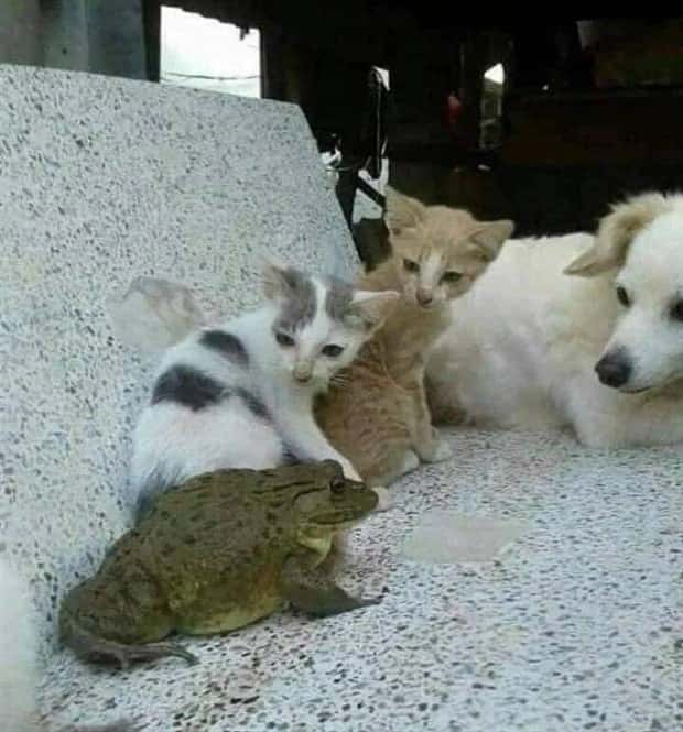 Klyker Picdump #1438 (53 photos)