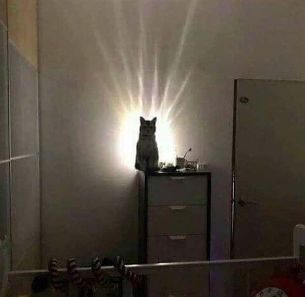 Klyker Picdump #1438 (53 photos)