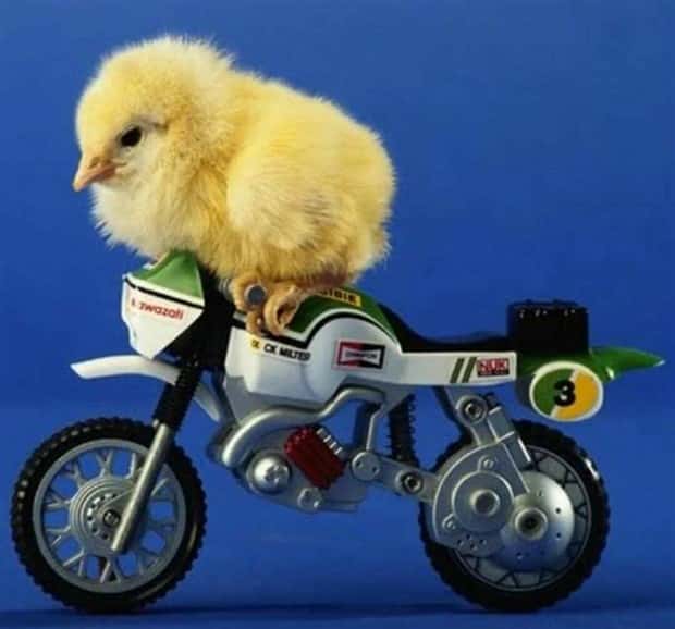 Klyker Picdump #1438 (53 photos)