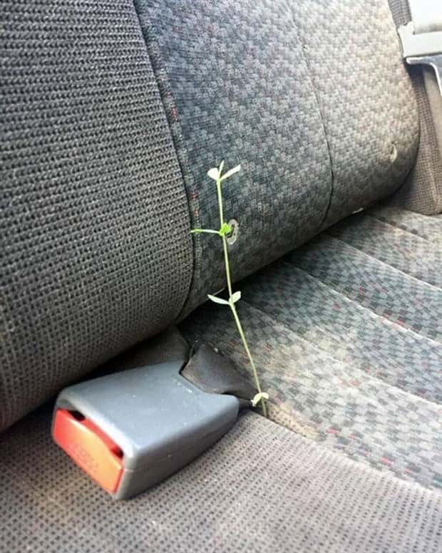 Klyker Picdump #1438 (53 photos)