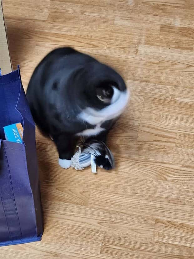 Klyker Picdump #1438 (53 photos)