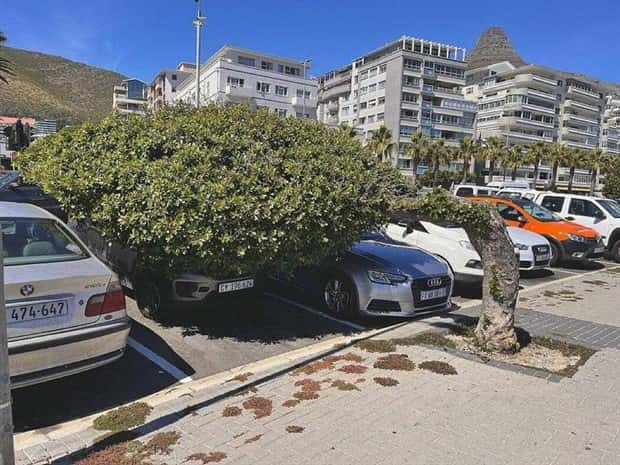 Klyker Picdump #1438 (53 photos)