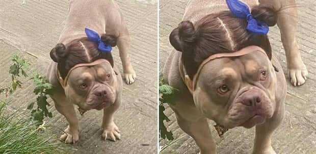 Klyker Picdump #1438 (53 photos)