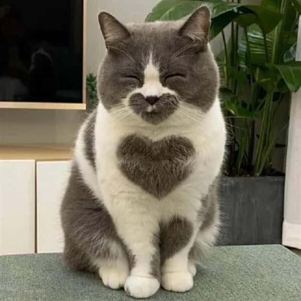 Klyker Picdump #1438 (53 photos)