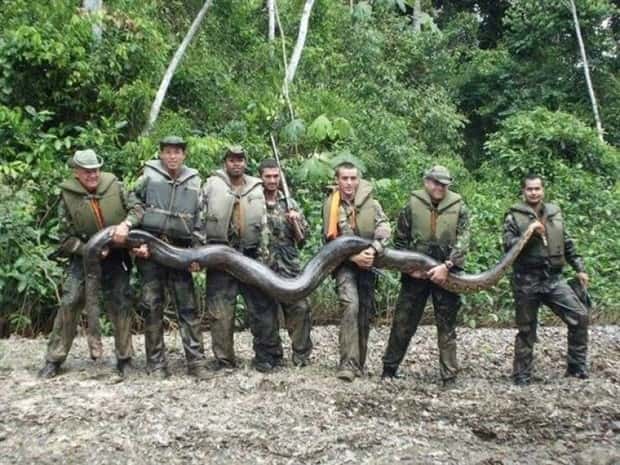 Klyker Picdump #1441 (51 photos)