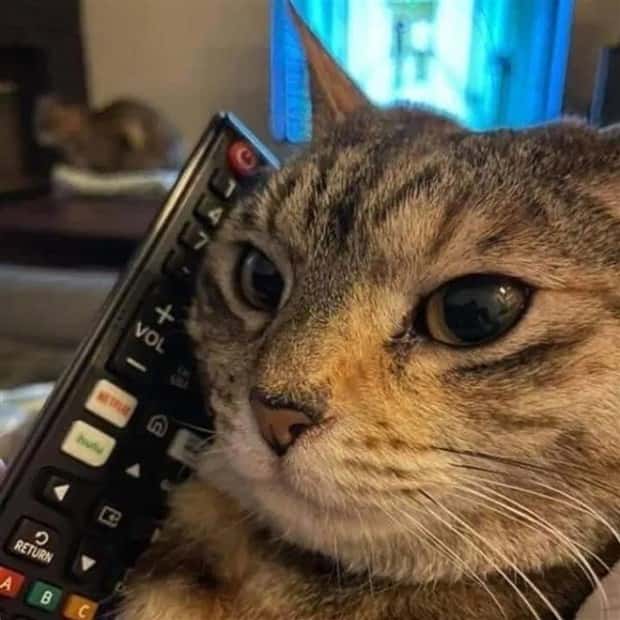 Klyker Picdump #1442 (52 photos)