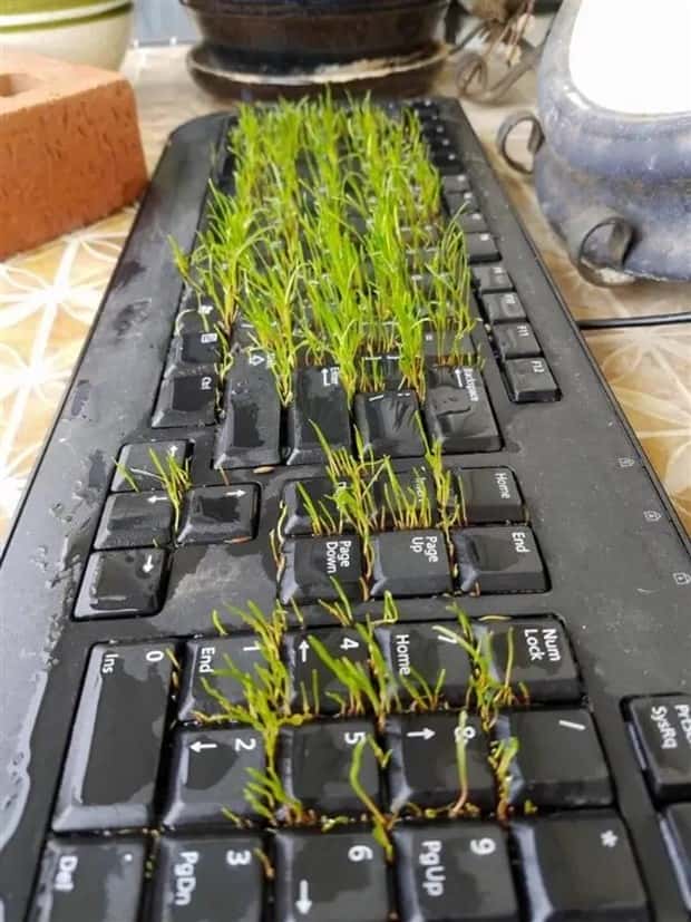 Klyker Picdump #1442 (52 photos)