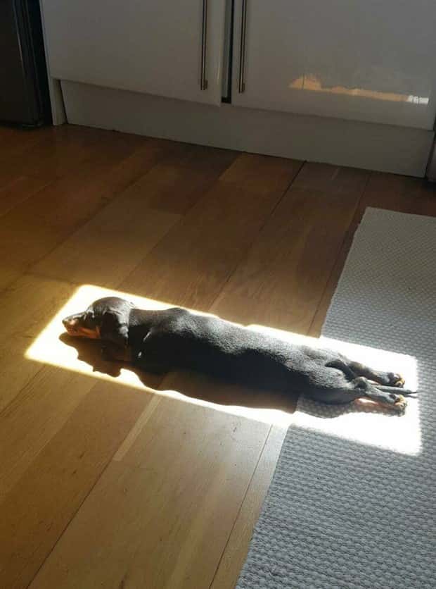 Klyker Picdump #1442 (52 photos)