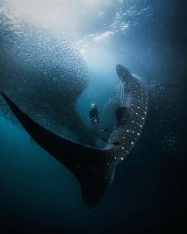 Klyker Picdump #1442 (52 photos)