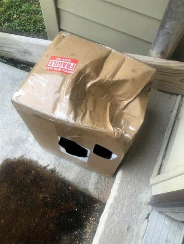 Klyker Picdump #1442 (52 photos)