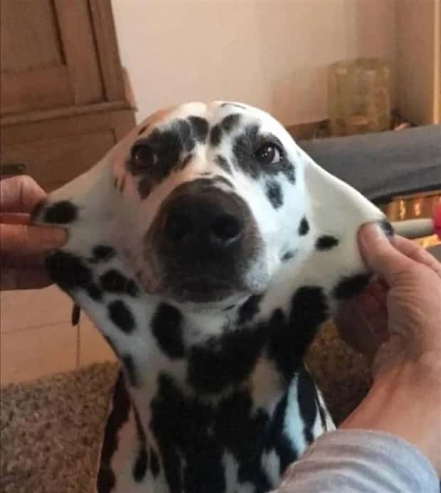 Klyker Picdump #1442 (52 photos)