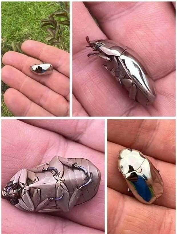 Klyker Picdump #1445 (55 photos)