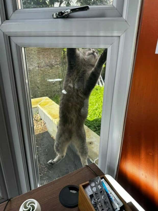 Klyker Picdump #1445 (55 photos)