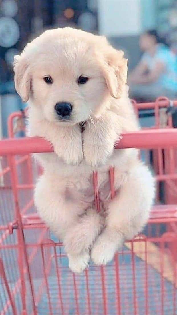 Klyker Picdump #1445 (55 photos)