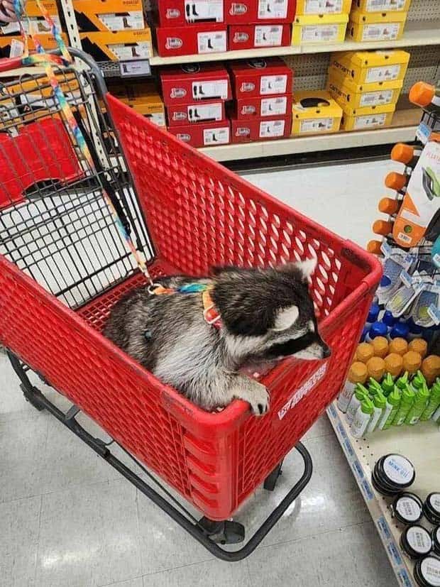 Klyker Picdump #1445 (55 photos)