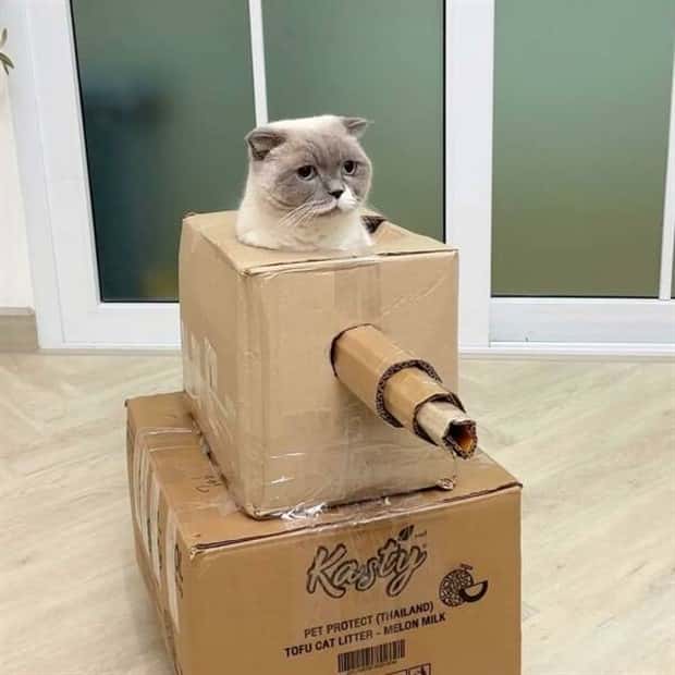 Klyker Picdump #1445 (55 photos)