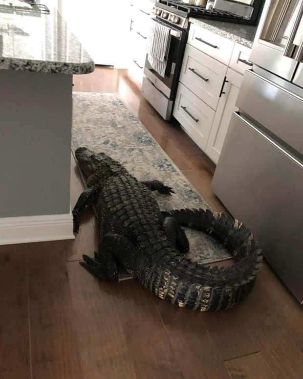 Klyker Picdump #1446 (51 photos)