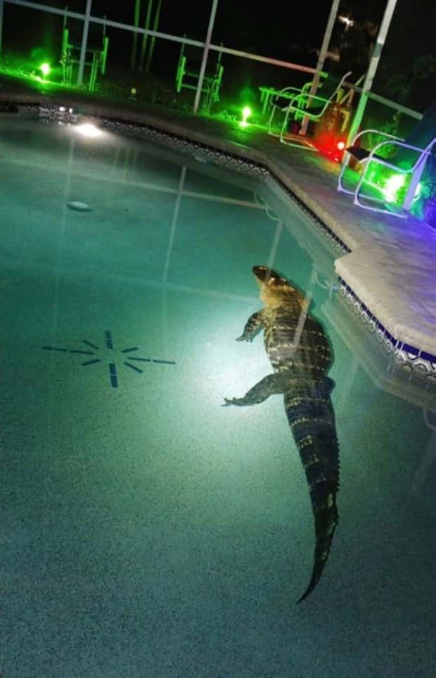 Klyker Picdump #1446 (51 photos)