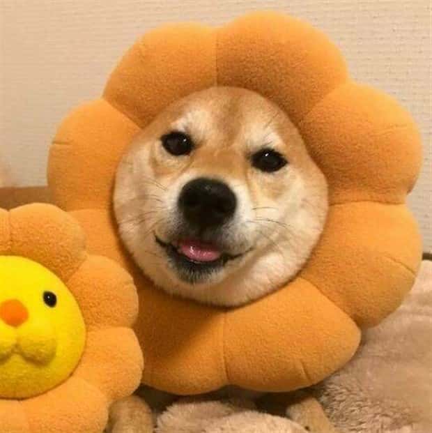 Klyker Picdump #1446 (51 photos)