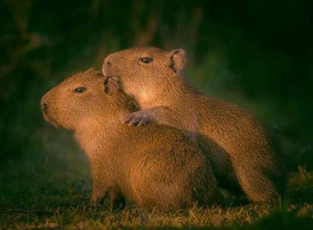 Klyker Picdump #1446 (51 photos)