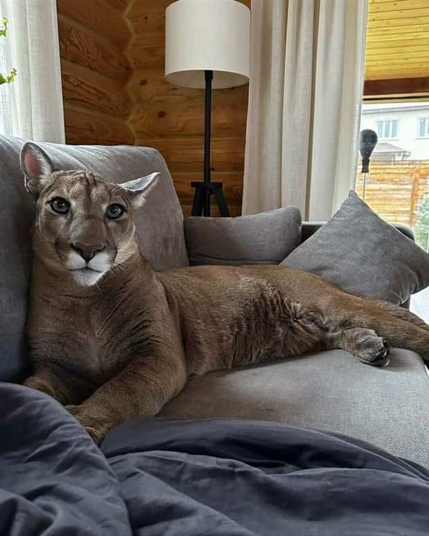 Klyker Picdump #1446 (51 photos)