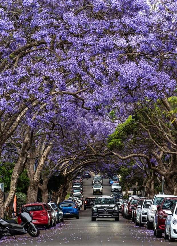 Klyker Picdump #1446 (51 photos)