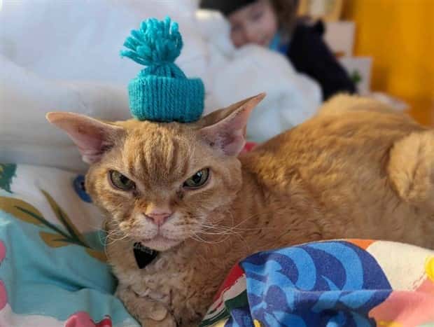 Klyker Picdump #1446 (51 photos)