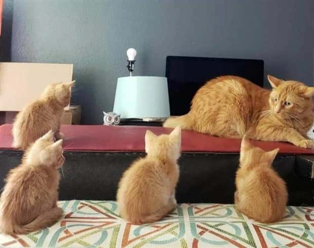 Klyker Picdump #1446 (51 photos)