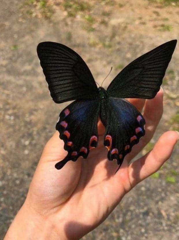 Klyker Picdump #1446 (51 photos)