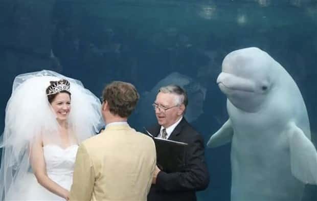 Klyker Picdump #1447 (52 photos)