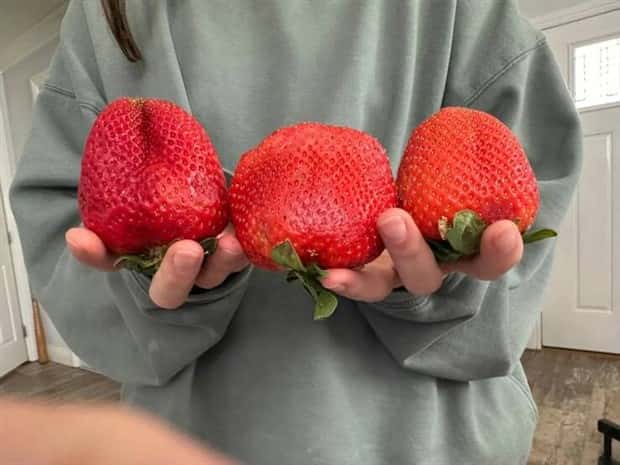 Klyker Picdump #1447 (52 photos)