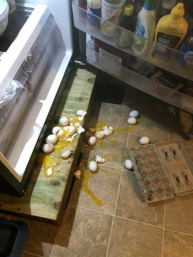 Klyker Picdump #1447 (52 photos)