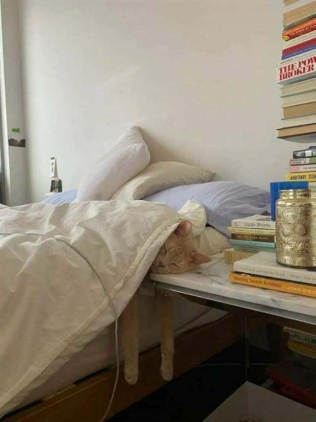 Klyker Picdump #1447 (52 photos)