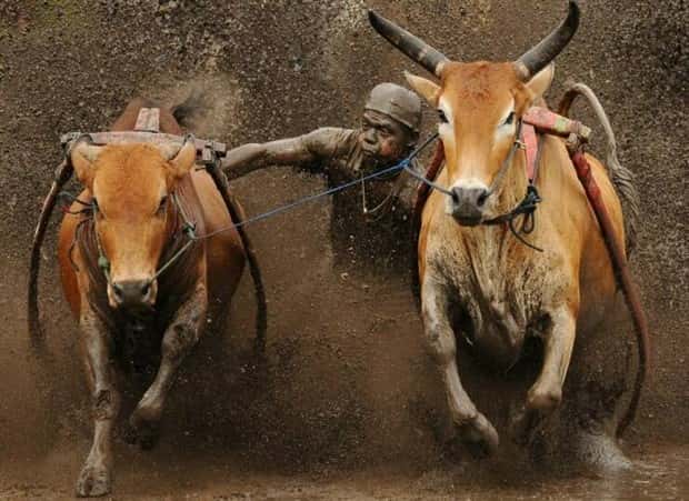 Klyker Picdump #1447 (52 photos)