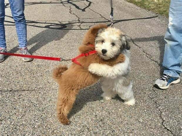 Klyker Picdump #1450 (55 photos)