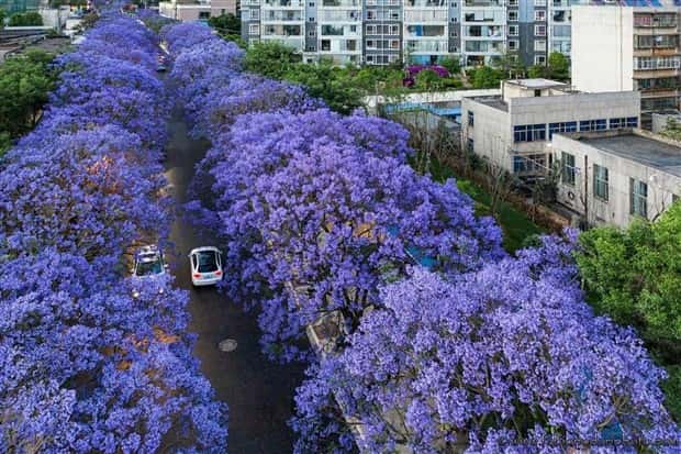 Klyker Picdump #1450 (55 photos)