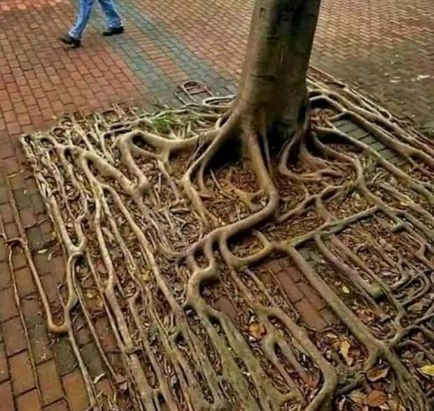 Klyker Picdump #1451 (51 photos)