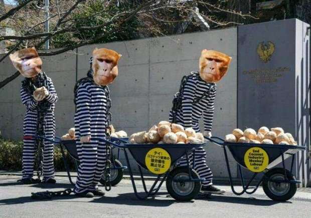 Klyker Picdump #1435 (55 photos)