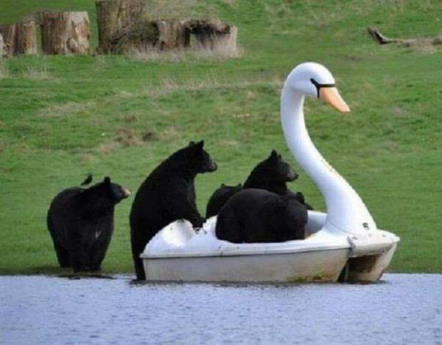 Klyker Picdump #1436 (51 photos)